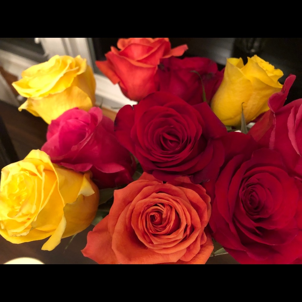 Meet your Posher, Christie